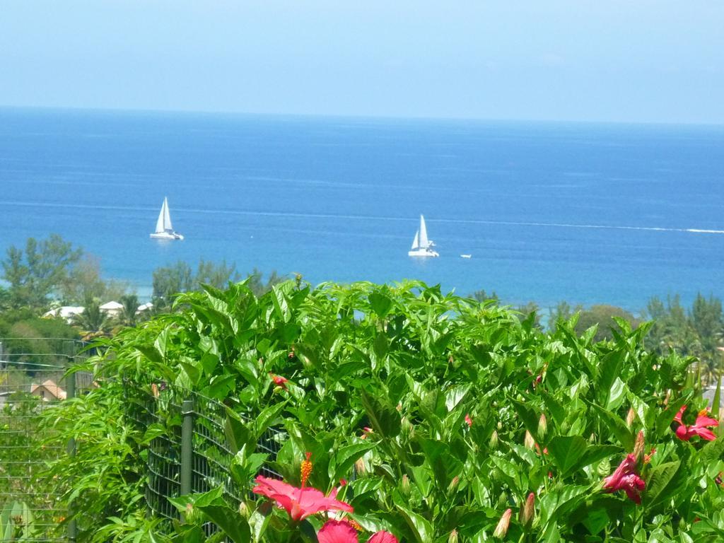 Apartment Flamboyant Ocean View - Ex Hillside Haven *