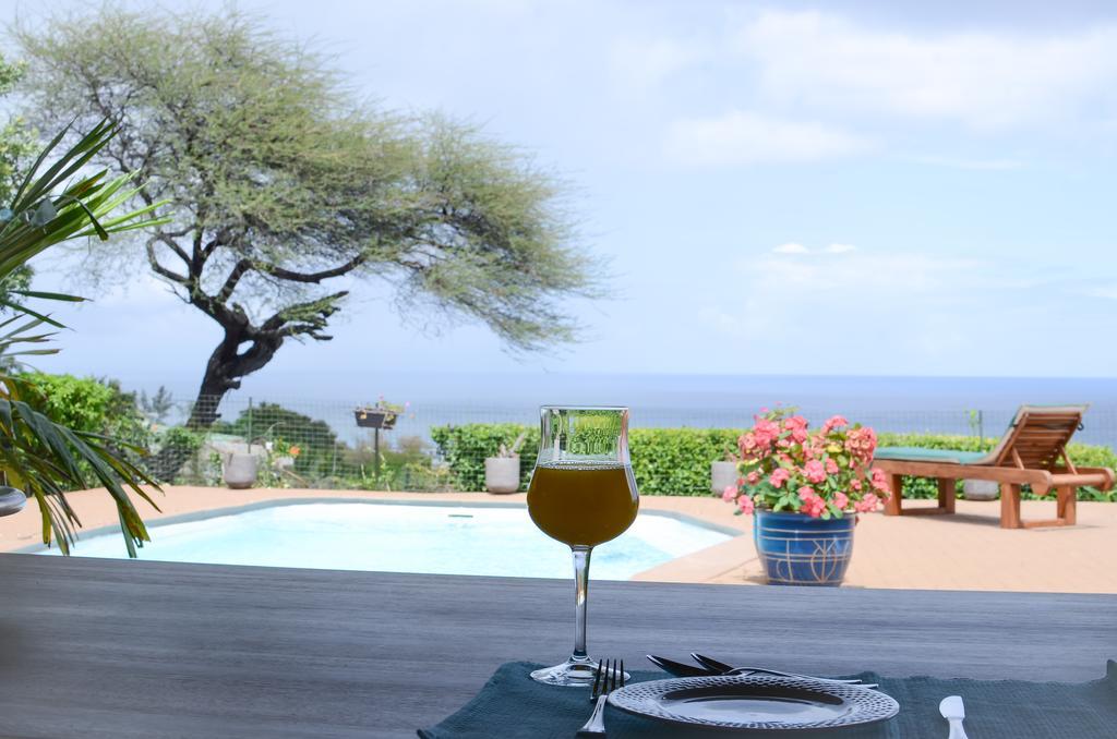 Flamboyant Ocean View - Ex Hillside Haven