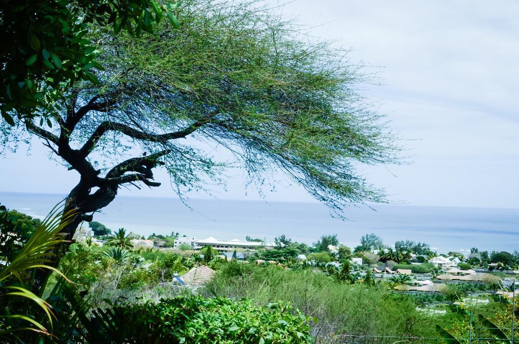 Flamboyant Ocean View - Ex Hillside Haven Appartement